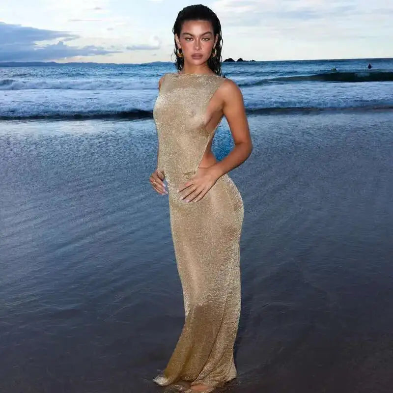 Sparkle Backless Bodycon Dress