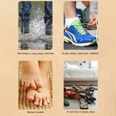 UV Electric Shoe & Boot Dryer