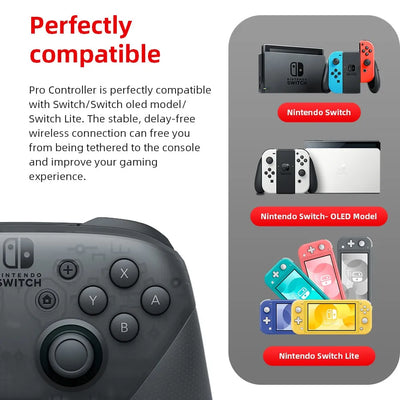 Xenoblade 2 Switch Pro Controller