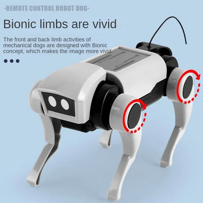 DIY RC Robot Dog Toy