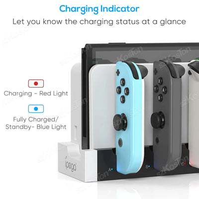 Switch OLED Controller Charger