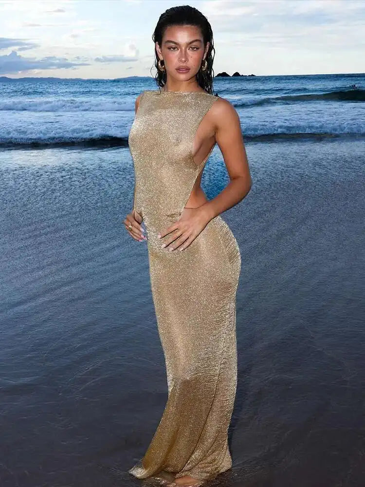 Sparkle Backless Bodycon Dress