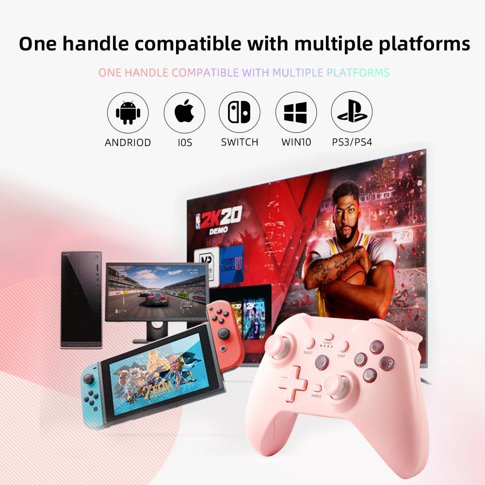 Wireless Switch Gamepad Controller
