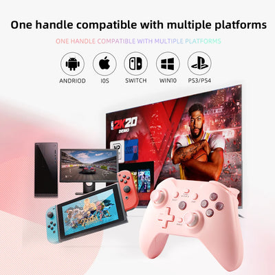 Wireless Switch Gamepad Controller